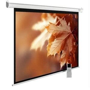 Экран для проектора Cactus MotoExpert CS-PSME-300x300-WT