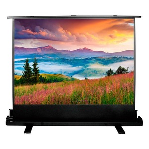 Экран для проектора Cactus FloorExpert CS-PSFLE-160X90