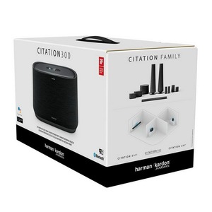 Портативная акустика Harman Kardon Citation 300 Grey