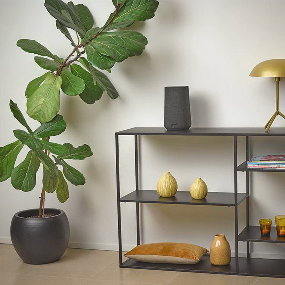 Портативная акустика Harman Kardon Citation 100 Grey