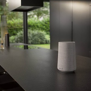 Портативная акустика Harman Kardon Citation 100 Grey