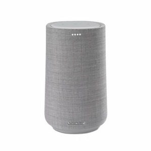 Портативная акустика Harman Kardon Citation 100 Grey
