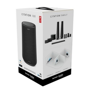 Портативная акустика Harman Kardon Citation 100 Grey