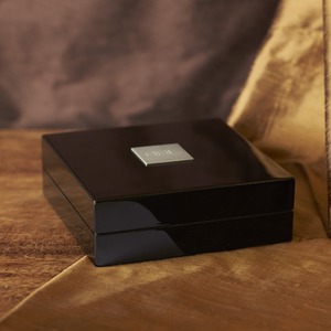 Беспроводное подключение сабвуфера REL Longbow Transmitter Black