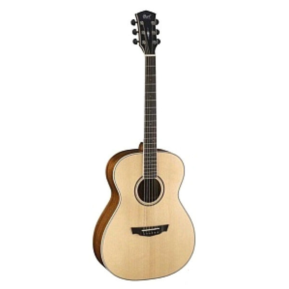 Акустическая гитара Parkwood PW-320-BW-NS