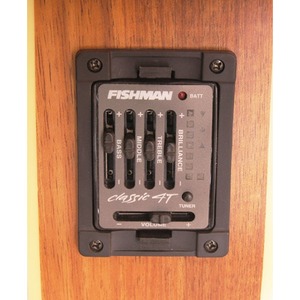 Электроакустическая гитара Parkwood PW-410E-Mini-NS