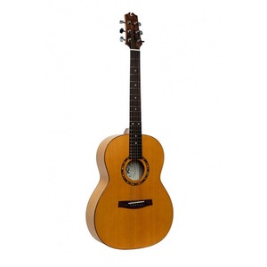 Акустическая гитара NewTone Rainbow-GA-S-N/T