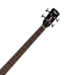 Акустическая бас-гитара Cort AB850F-NAT