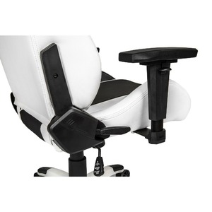 Кресло игровое AKRacing ARCTICA ARCTICA-WHITE white black