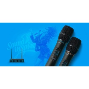 Радиосистема на два микрофона Evolution SE-200D