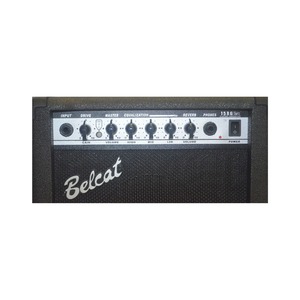 Гитарный комбо Belcat 15RG