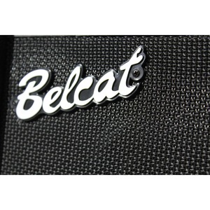 Басовый комбо Belcat 25B