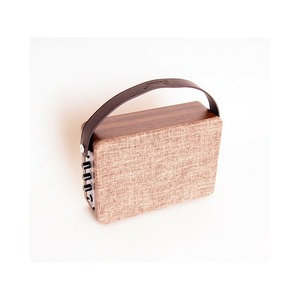 Комбоусилитель портативный Belcat DINGHY