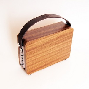 Комбоусилитель портативный Belcat DINGHY