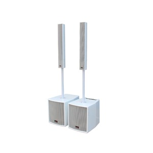 Портативная АС Biema MUSIC-CITY1000+