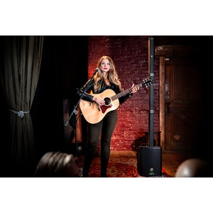 Портативная АС MACKIE SRM-Flex