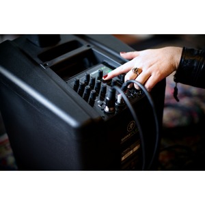 Портативная АС MACKIE SRM-Flex