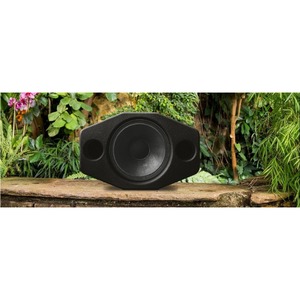 Студийный монитор активный Monkey Banana Silverback black