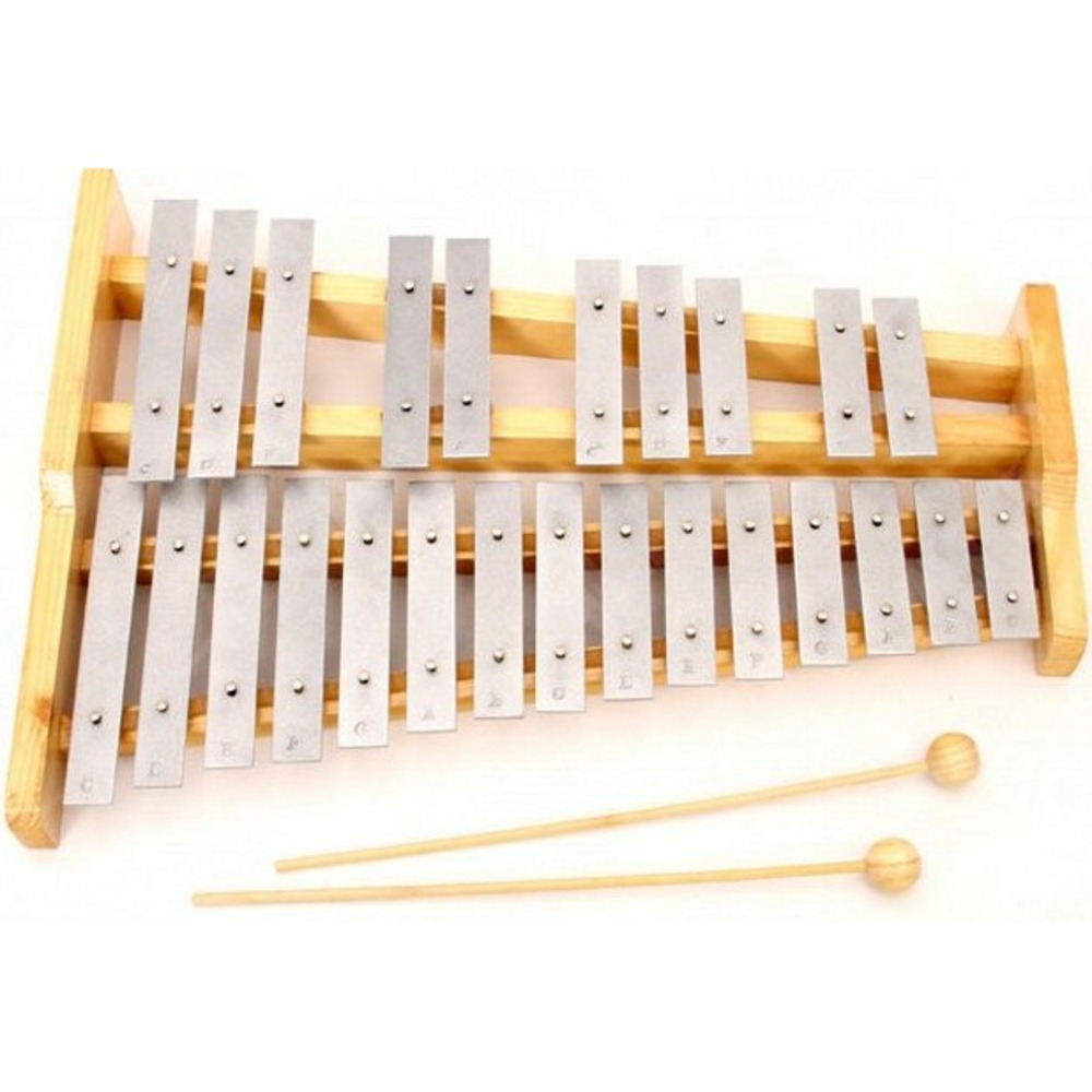 Металлофон ALINA PRO AM25