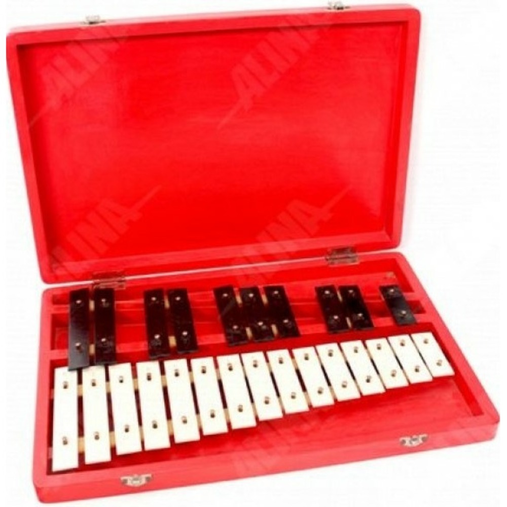 Металлофон ALINA PRO AM25Case