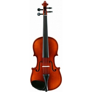 Скрипка размер 1/8 ALINA PRO AV05D