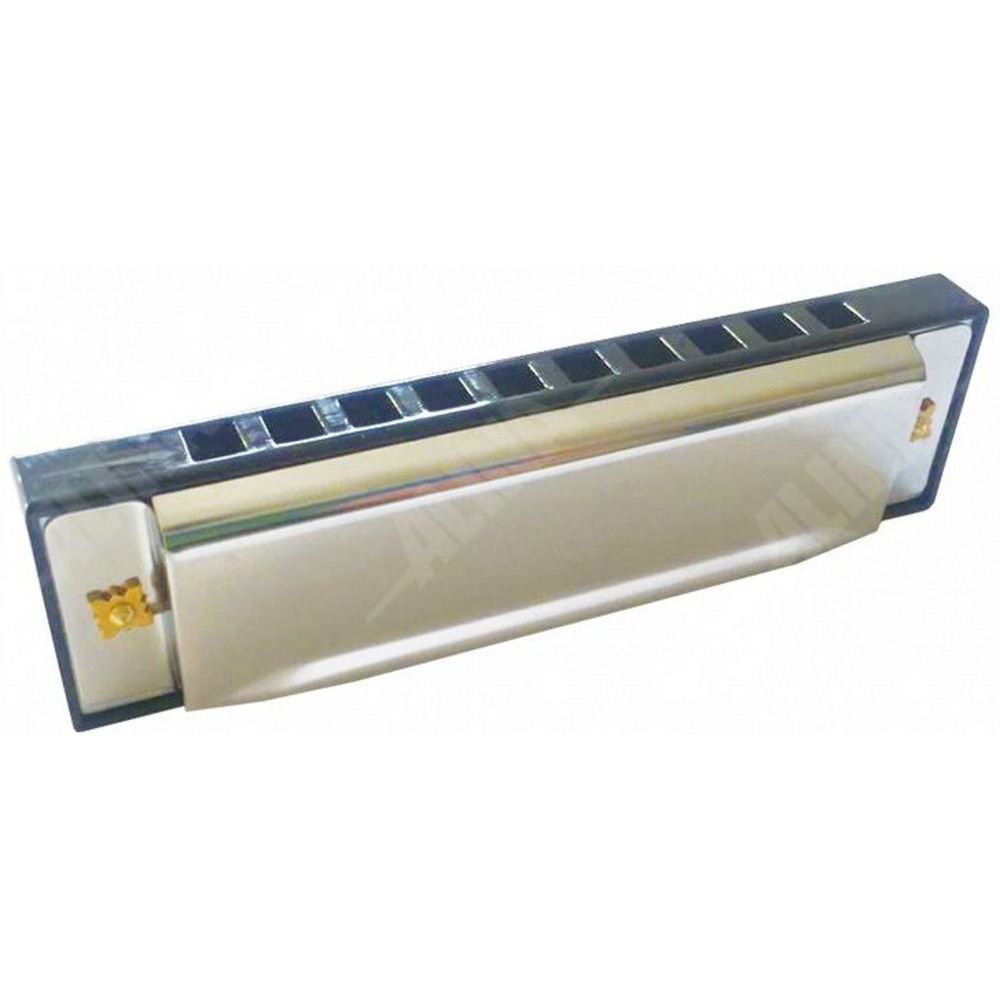 Губная гармошка ALINA PRO BluesLife