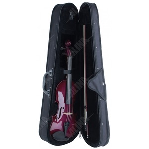 Скрипка размер 4/4 ALINA PRO AVV05