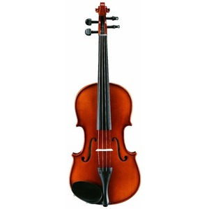 Скрипка размер 1/16 ALINA PRO AV05F