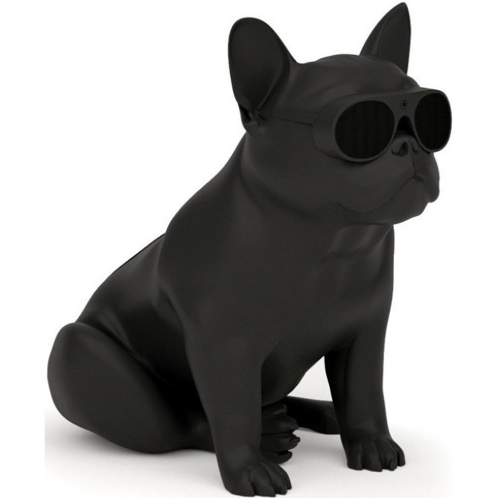 Портативная акустика AEROSYSTEM Aerobull XS1 Matt black