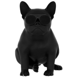 Портативная акустика AEROSYSTEM Aerobull XS1 Matt black