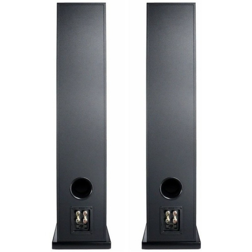 Напольная акустика CANTON Chrono 70 black