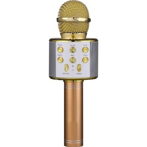 Беспроводной микрофон-караоке FunAudio G-800 Gold