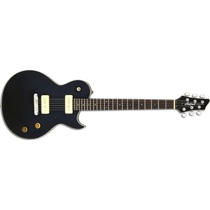 Электрогитара Les Paul ARIA PE-TR2 STBK