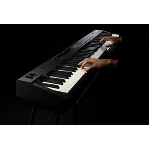 Пианино цифровое Roland RD-88