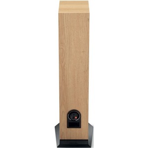 Напольная акустика Focal JMLab Chora 826 Light Wood