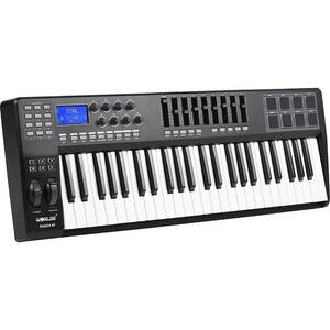 Миди клавиатура LAudio Panda-49C