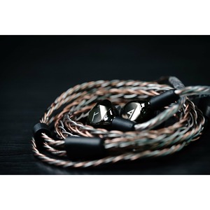 Наушники внутриканальные классические Astell&Kern AKT9iE