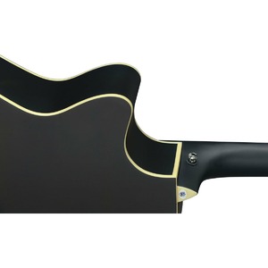 Электроакустическая гитара Stagg SA35 ACE-BK