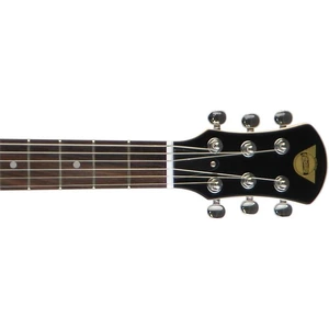 Электрогитара PIGNOSE PGG-200 BS