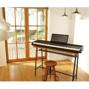 Пианино цифровое KORG B2N