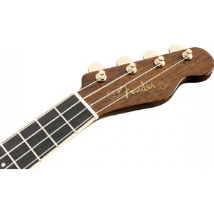 Укулеле Fender G VanderWaal Sig Uke WN w/bag