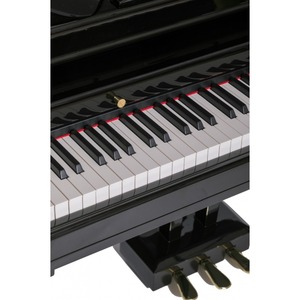 Рояль цифровой Orla Grand 120 Black 438PIA0634