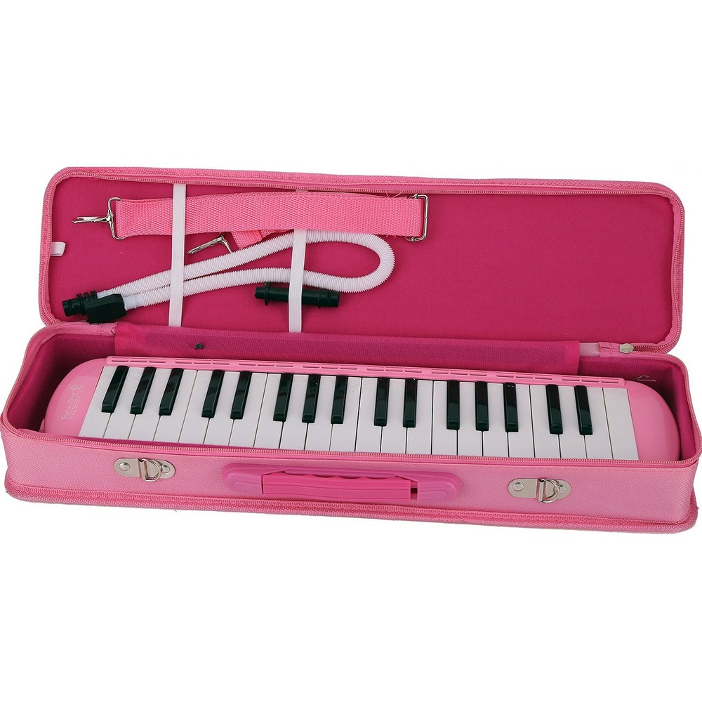 Мелодика Future Star FF-37K PK