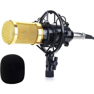 Микрофон студийный конденсаторный FZONE BM-800 BK