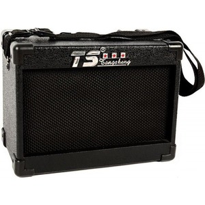 Комбоусилитель гитарный TS M6-10