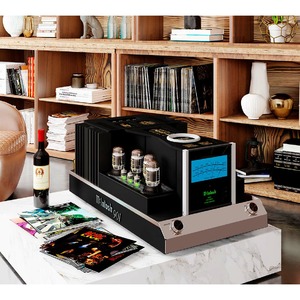 Усилитель мощности McIntosh MC901