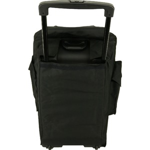 Портативная АС Acury AS-15P