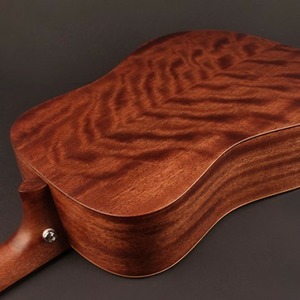 Акустическая гитара Cort Earth50-OP