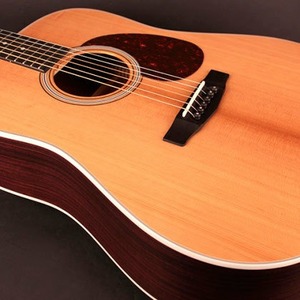 Акустическая гитара Cort Earth200ATV-SG