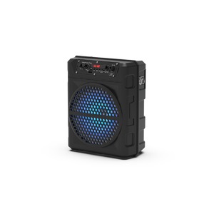 Портативная акустика Ritmix SP-810B black